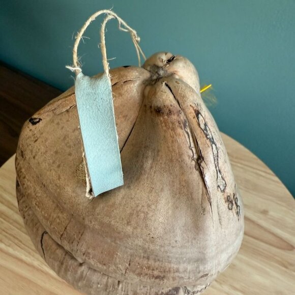 Vintage 60's Hawaiian Pirate Hanging Coconut Head w Shell Earrings Eyes Tiki - Picture 7 of 10